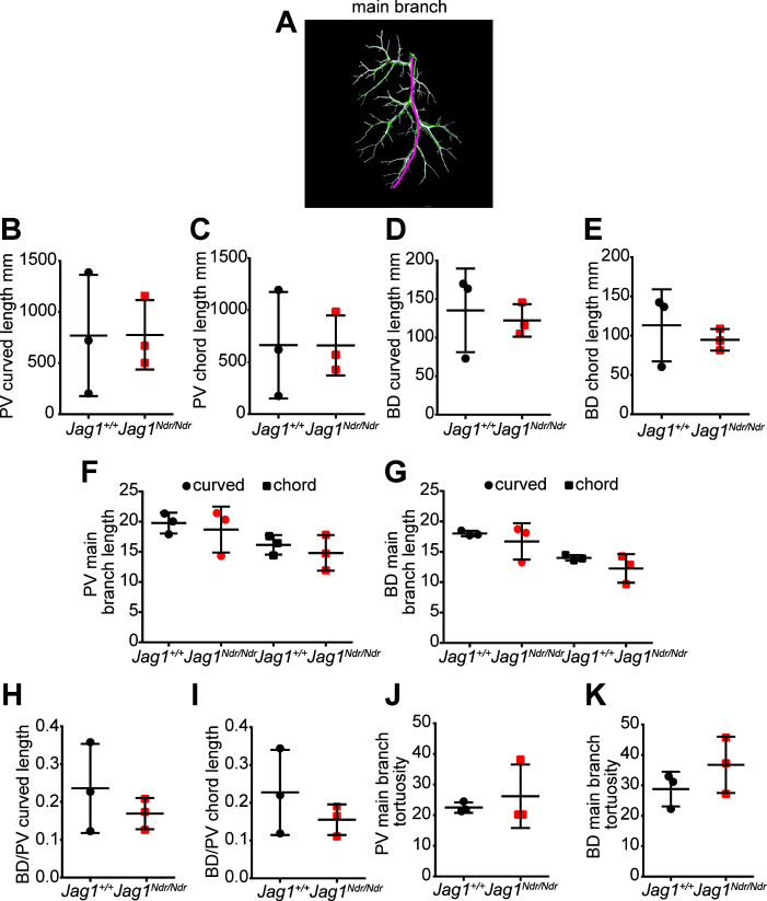 Figure 6—figure supplement 1.