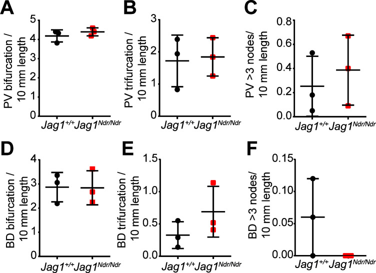 Figure 4—figure supplement 1.