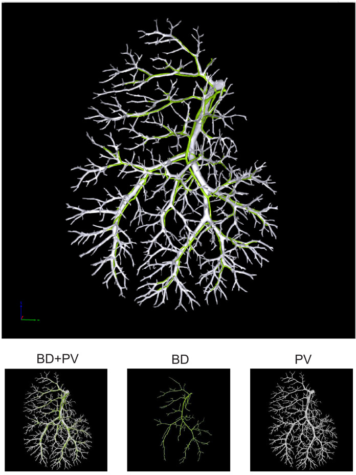 Figure 1—figure supplement 8.