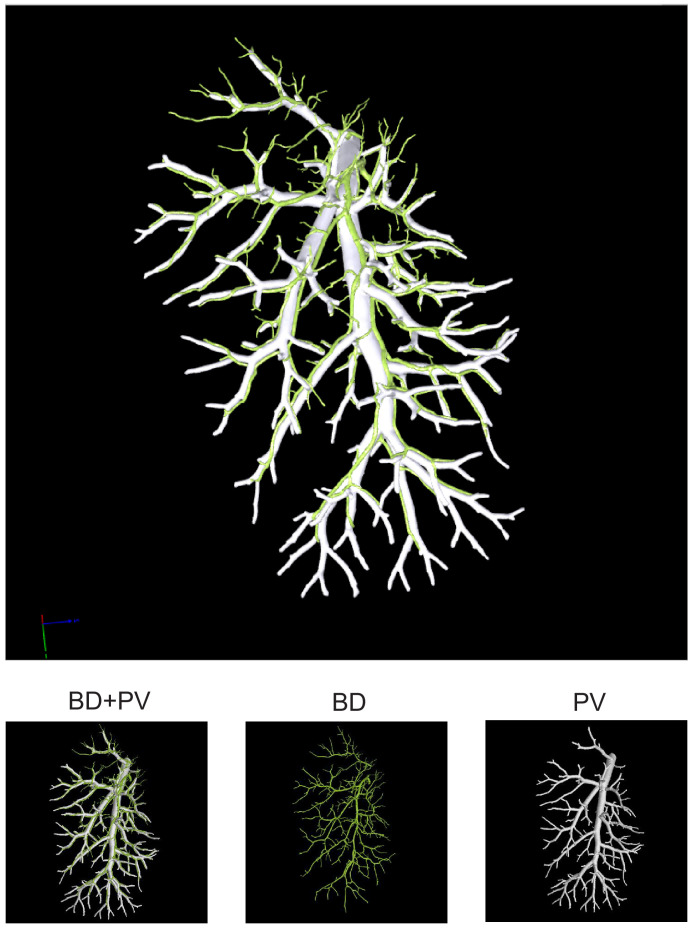 Figure 1—figure supplement 3.