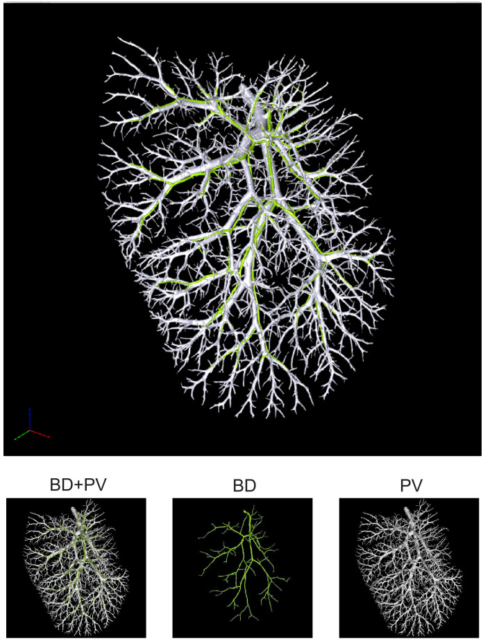 Figure 1—figure supplement 7.