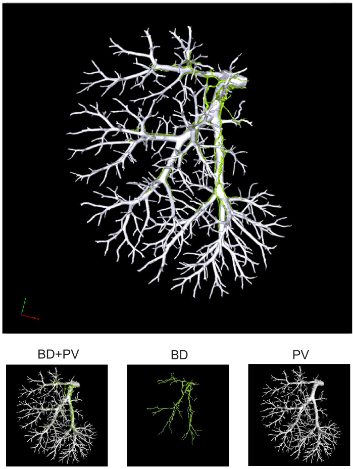 Figure 1—figure supplement 9.