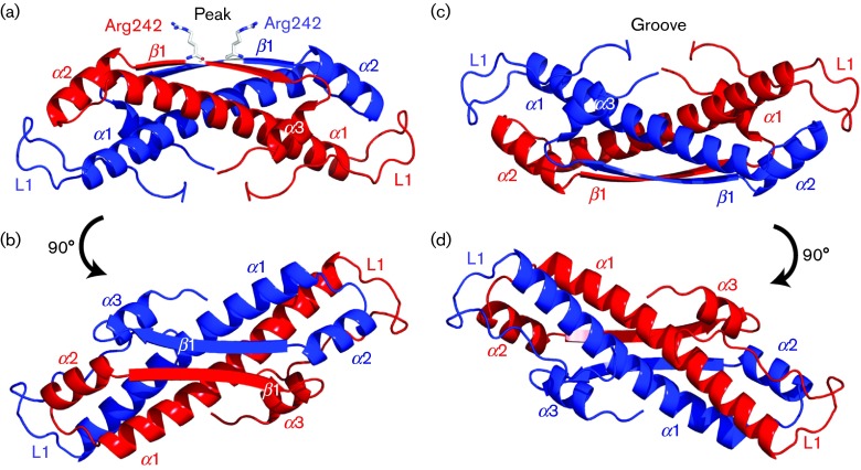 Fig. 1. 