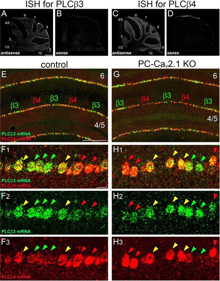 Figure 12.