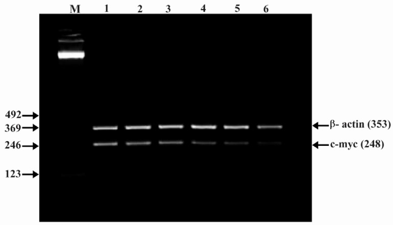 Figure 6