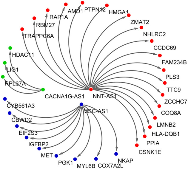 Figure 7