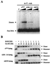 FIG. 6