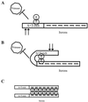 FIG. 7