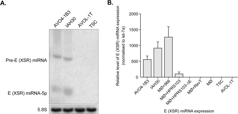 FIG 2