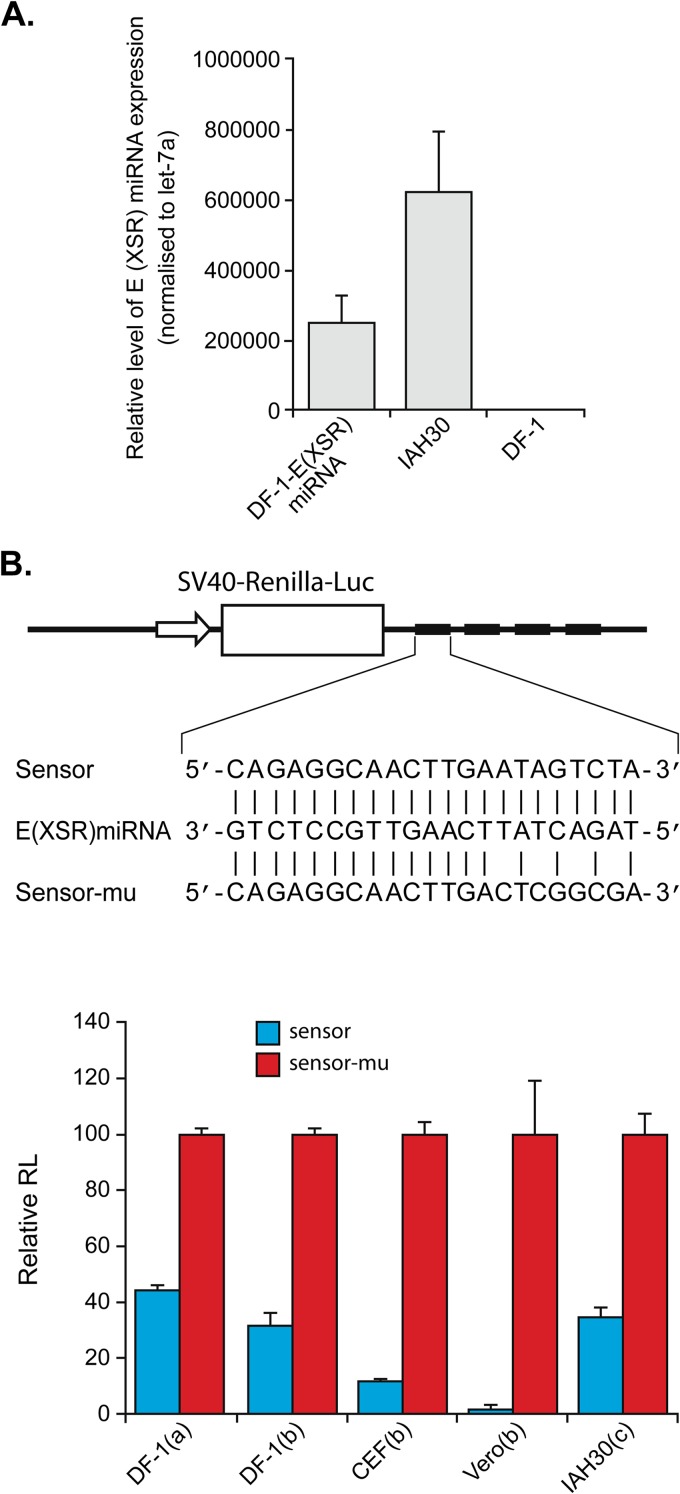 FIG 4