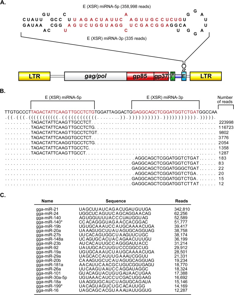 FIG 1