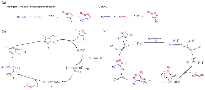 Scheme 2