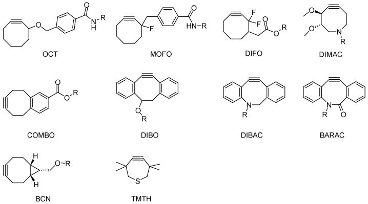 Scheme 5