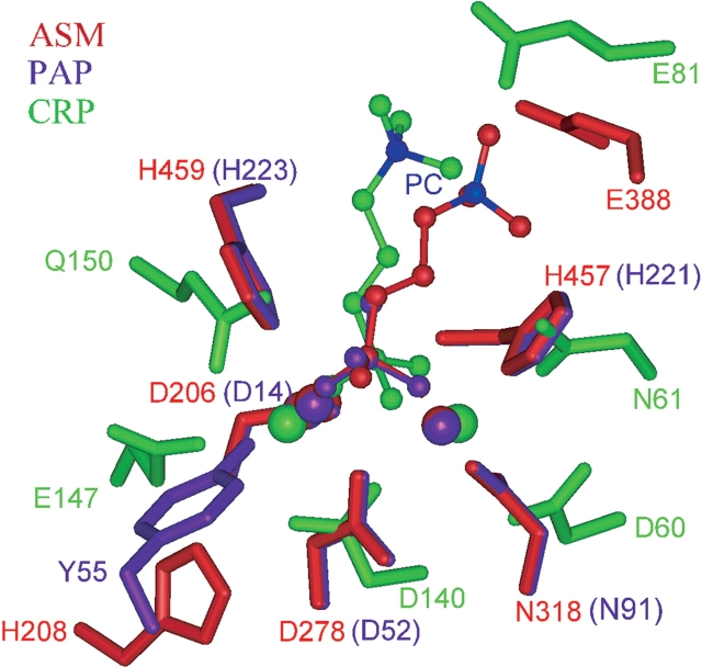 Figure 4.