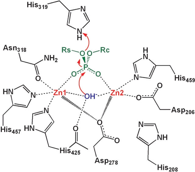 Figure 5.