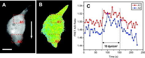 Fig. 6.