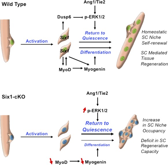 Figure 10.