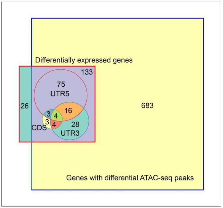 Figure 7: