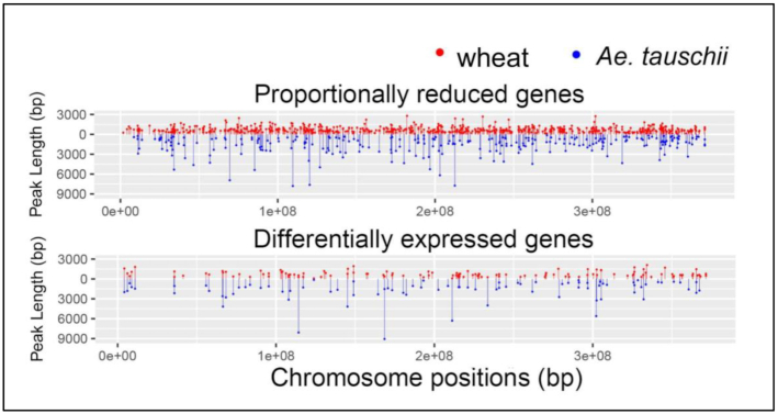 Figure 6: