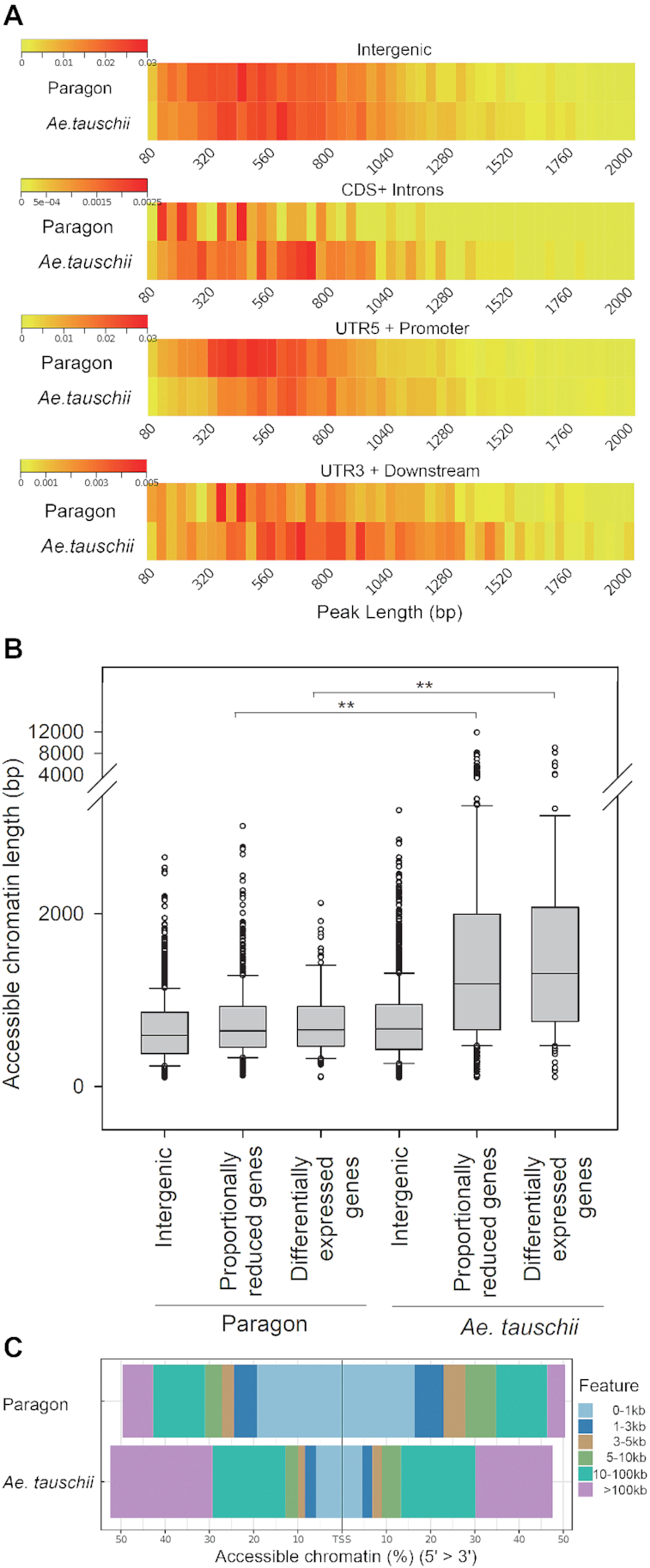 Figure 5: