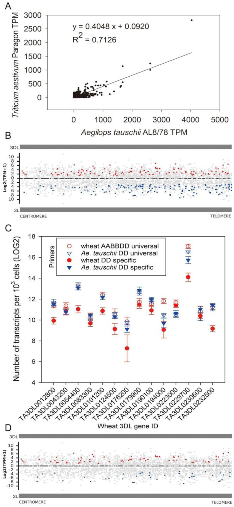 Figure 2: