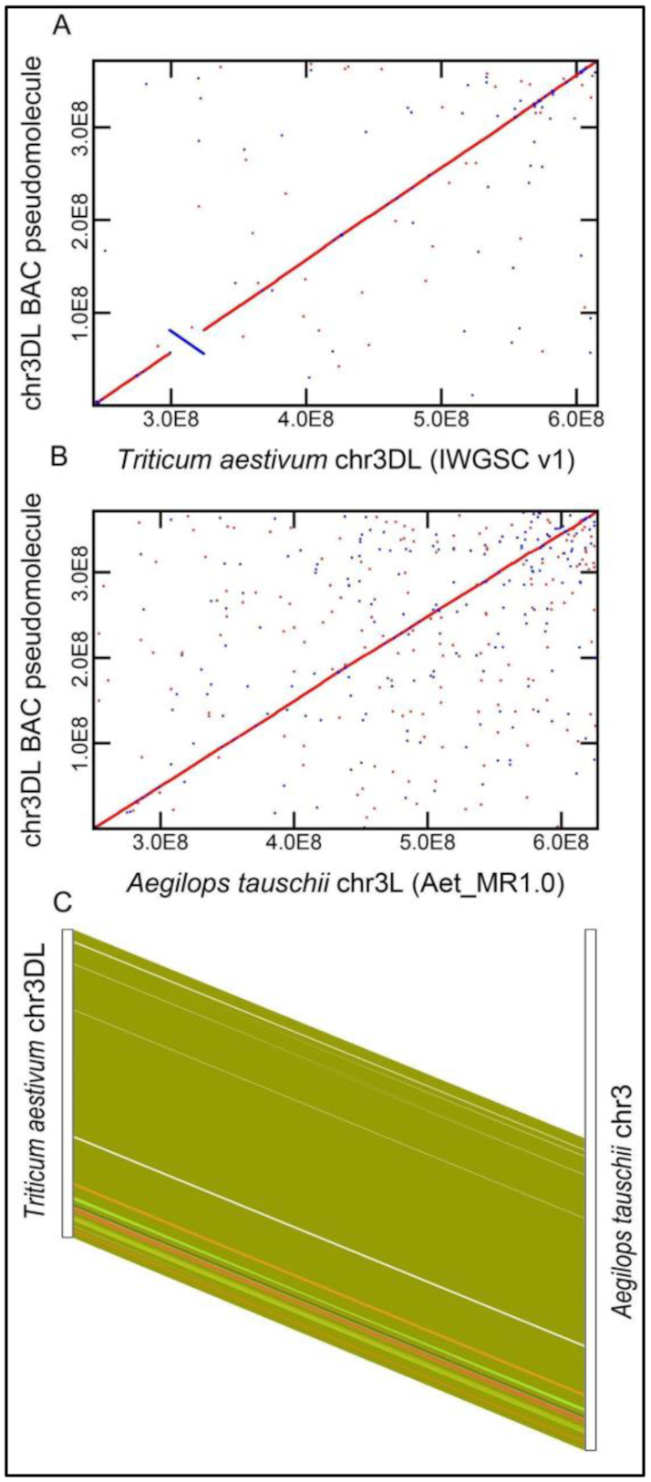 Figure 1: