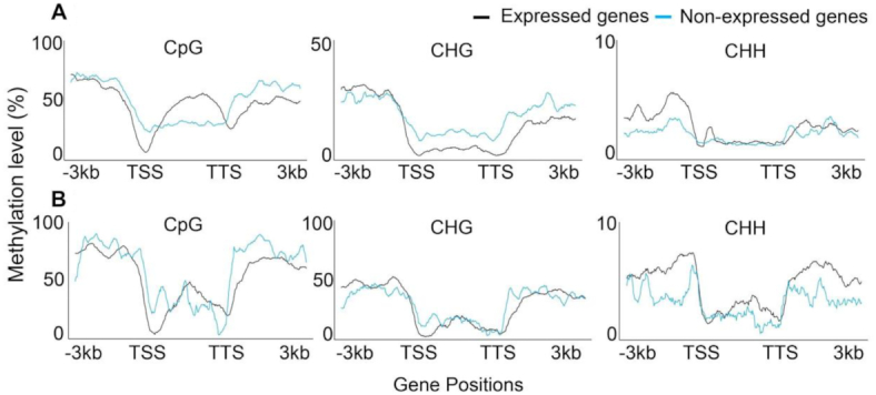 Figure 4: