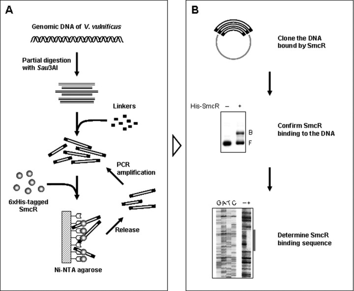 FIGURE 1.