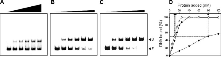 FIGURE 4.