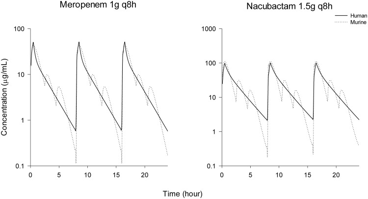 FIG 1