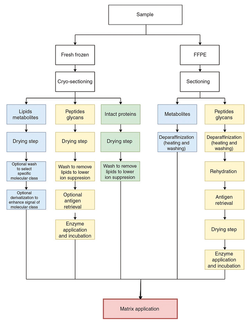 Figure 2: