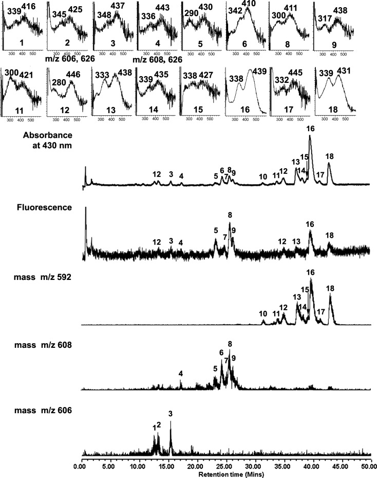 Figure 3. 