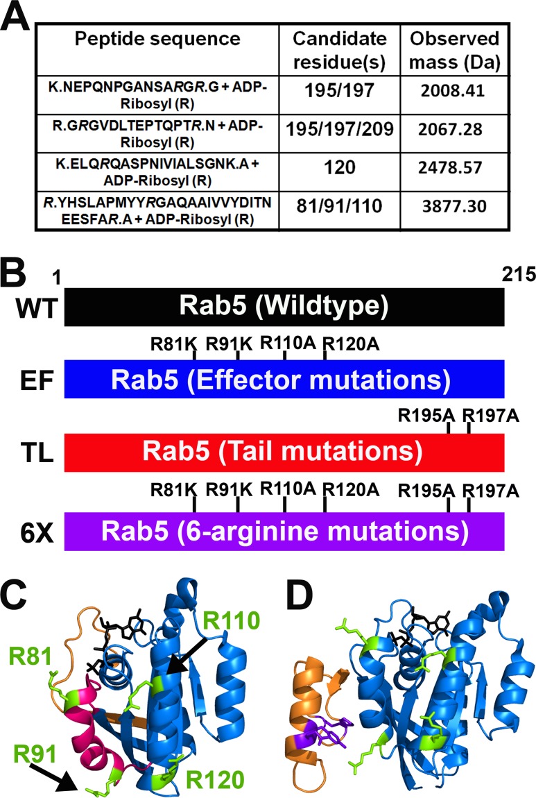 FIG 1