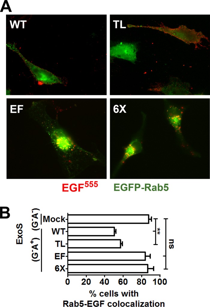 FIG 4