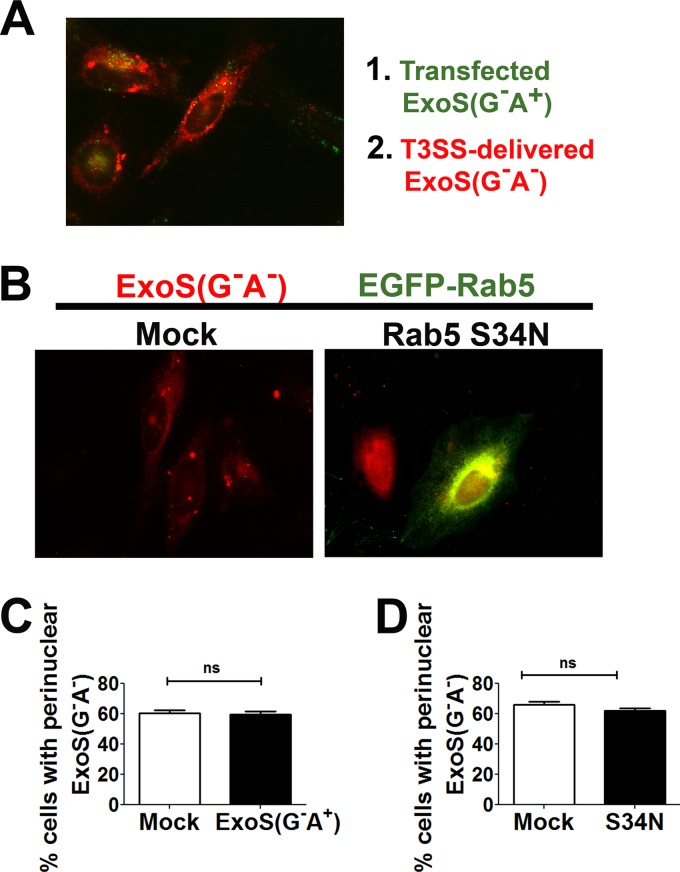 FIG 6