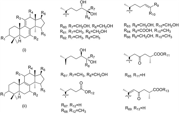 graphic file with name oncotarget-08-10071-i003.jpg