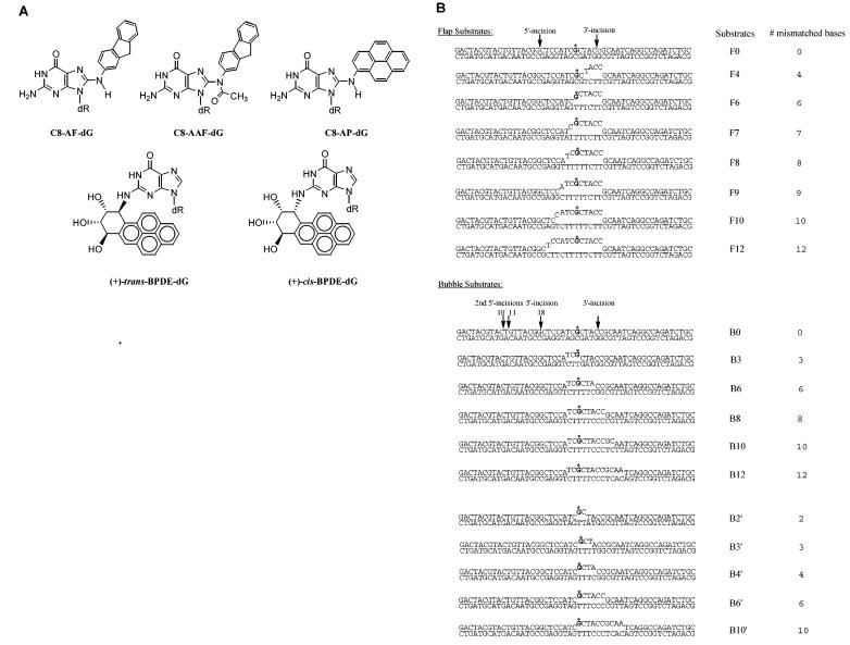 FIGURE 1: