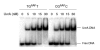 FIGURE 5: