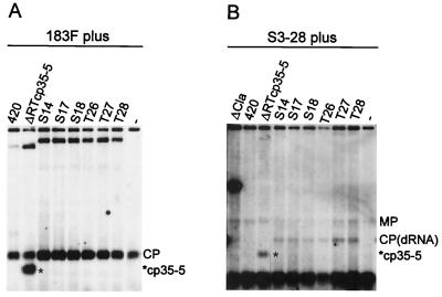 FIG. 7