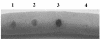 FIG. 3.