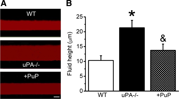 Fig. 8.