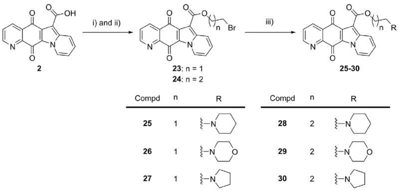 Scheme 2