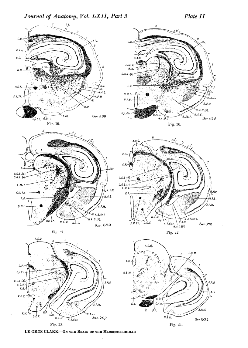 274-3