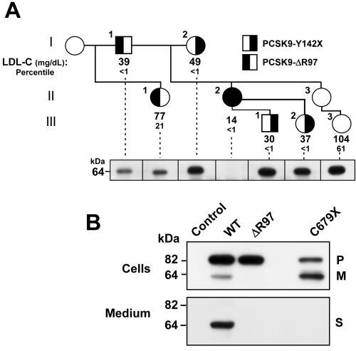 Figure  5. 