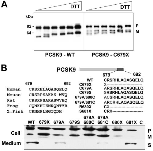 Figure  4. 