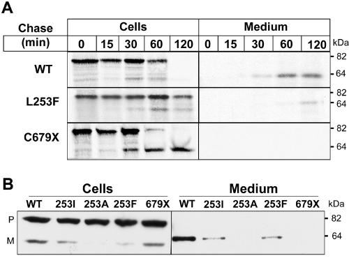 Figure  2. 