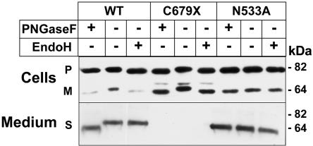 Figure  3. 