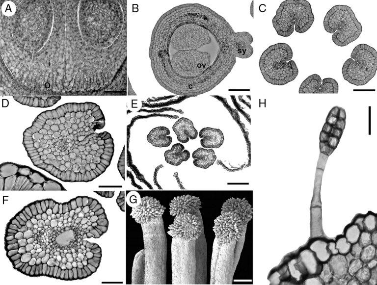 Fig. 8.