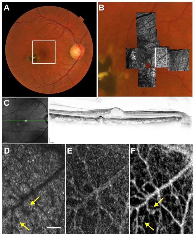 Figure 6