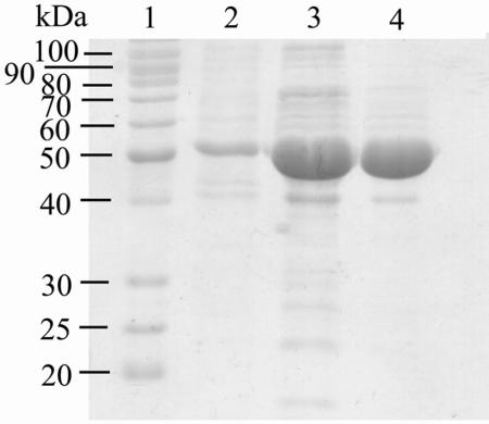 FIG. 5.